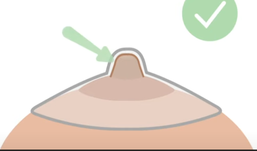 PROTECTOR DE PEZON O PEZONERA DE SILICONA - Imagen 3